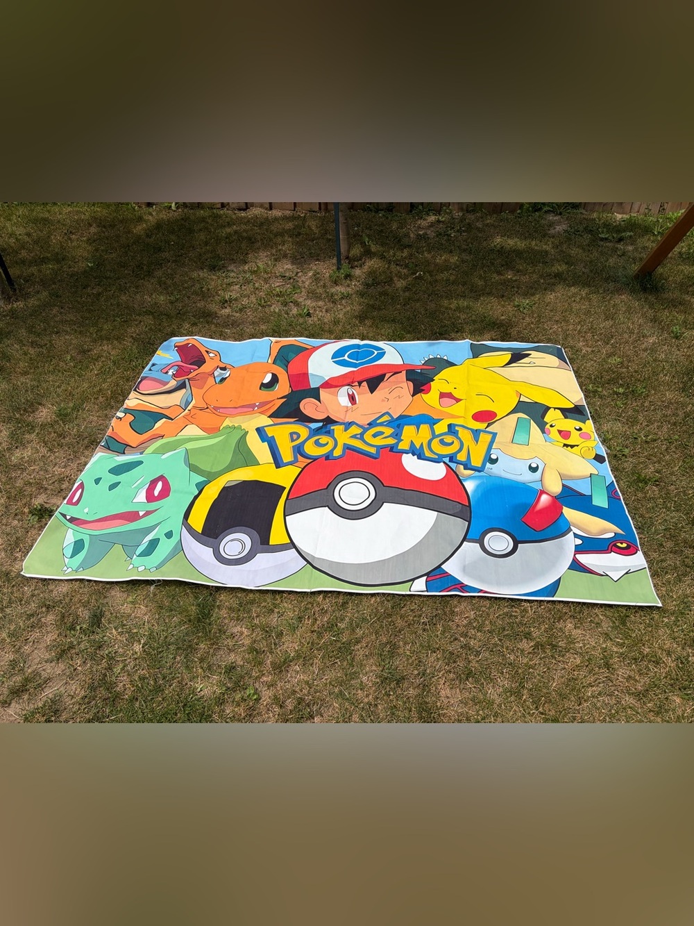 Large Pokemon Backdrop birthday decor